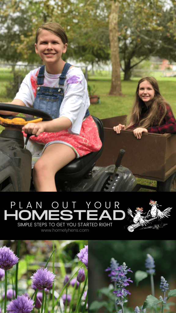 Starting A Homestead Pin