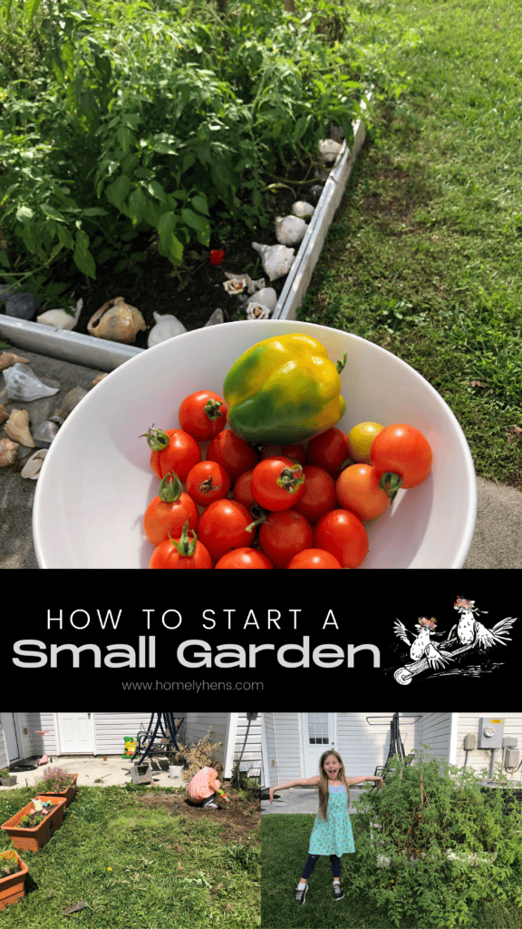 Start a Small Garden Pin