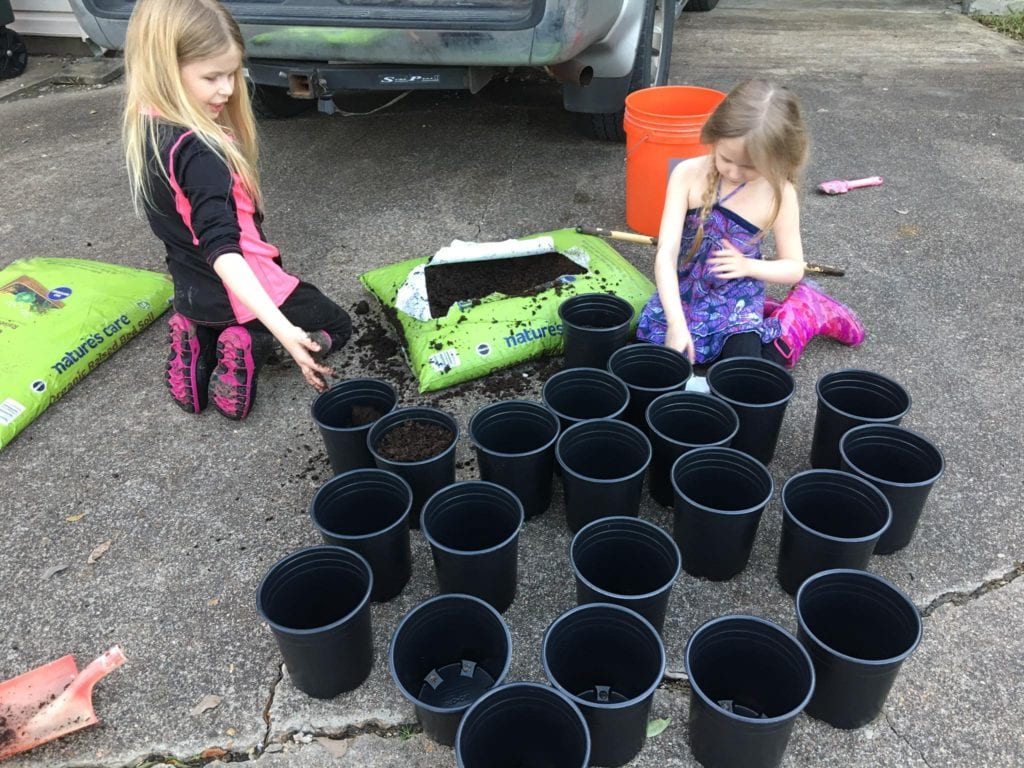 Propagating Grapes Getting the Pots ready