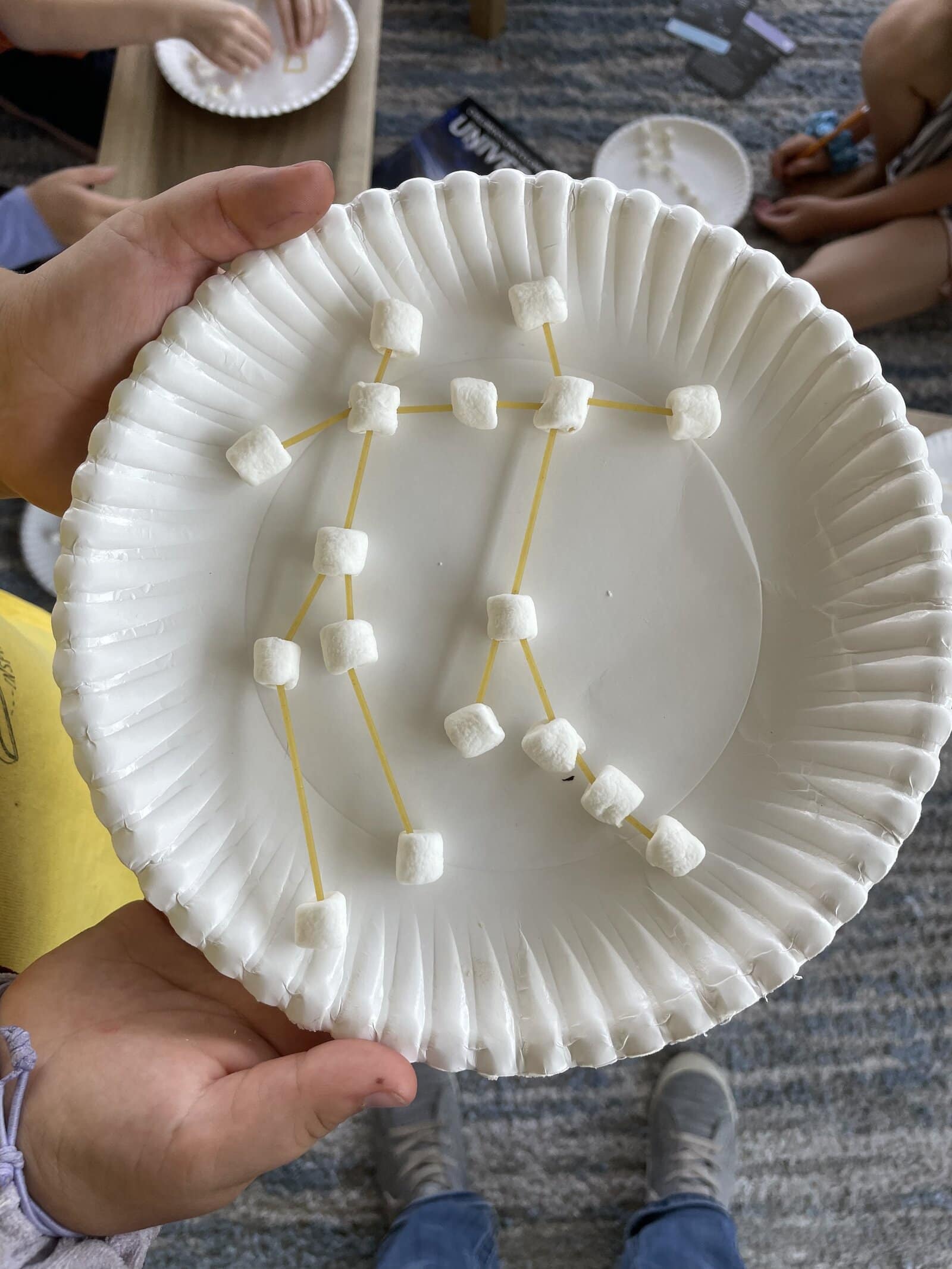 constellation craft