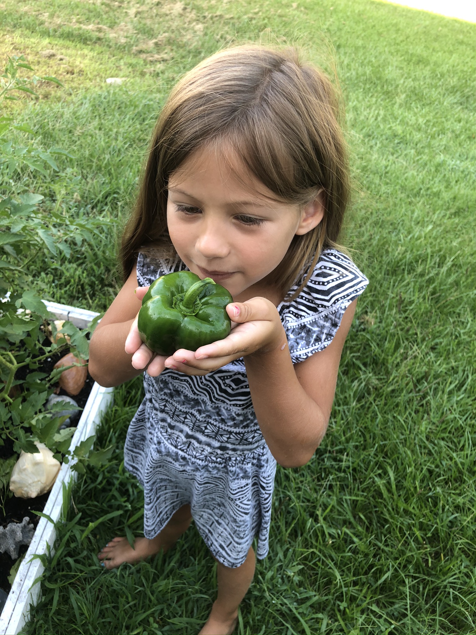 How to Start a Small Garden That Will Thrive - Homely Hens