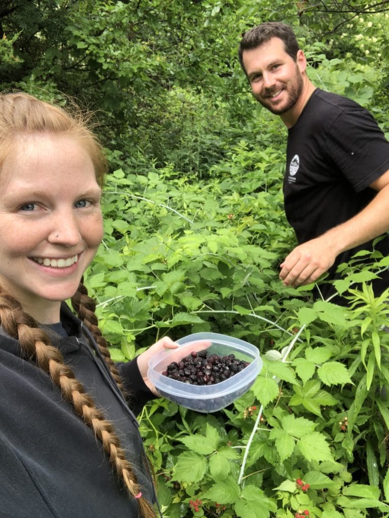black raspberries, black raspberry