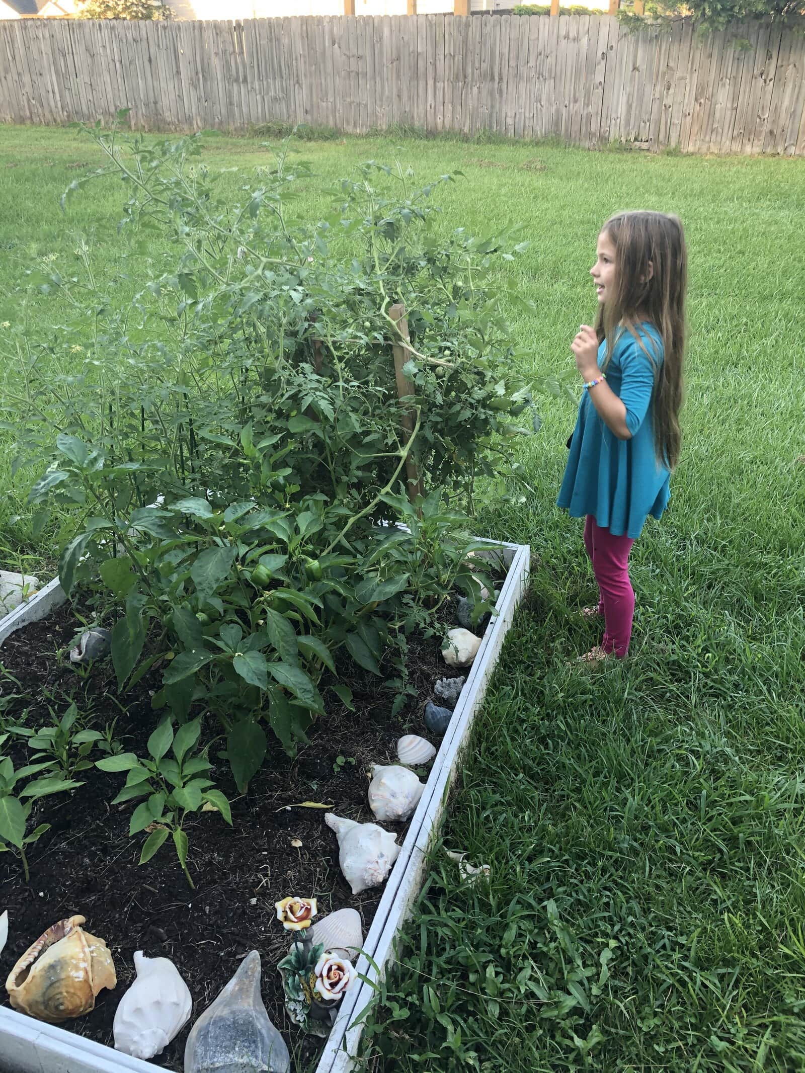 small garden