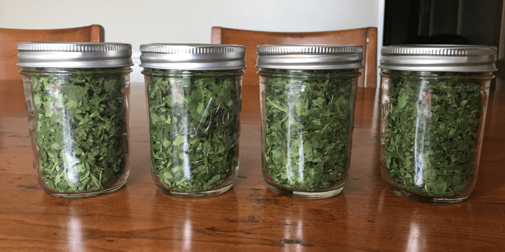 Fig Leaf Tea