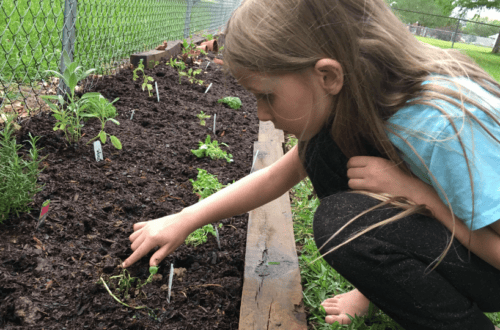 Child in the Garden