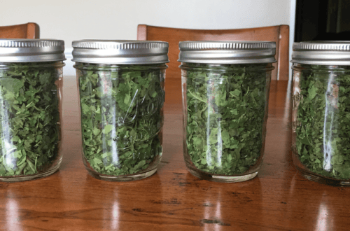 Fig Leaf Tea
