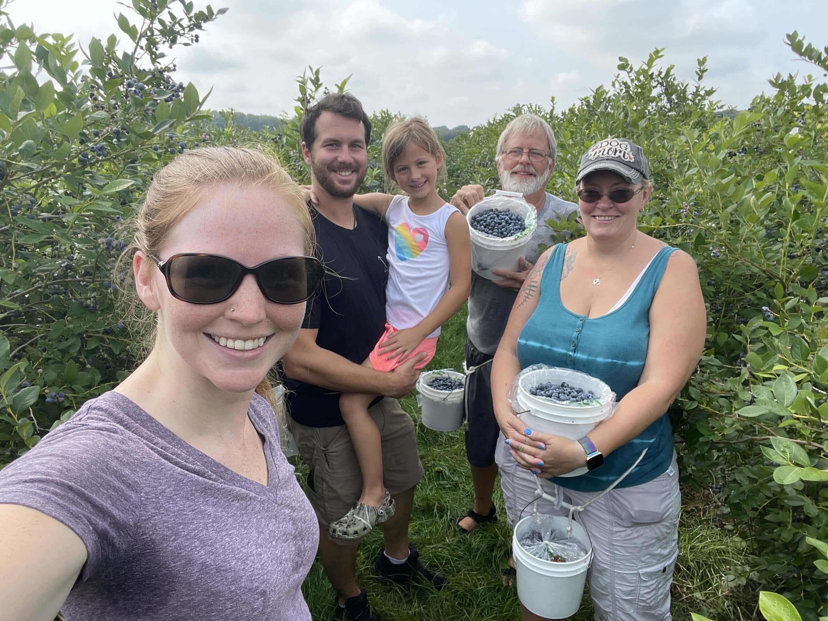 blueberry picking