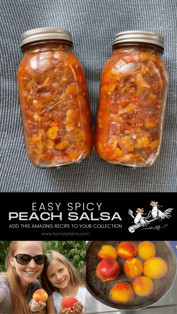 Spicy Peach Salsa