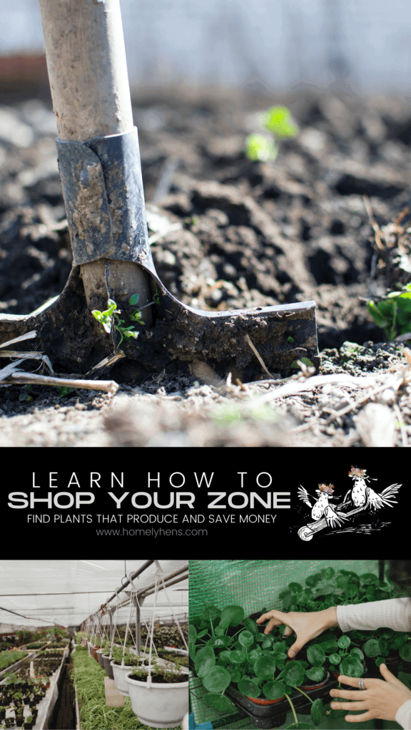 Shop your Zone Pin