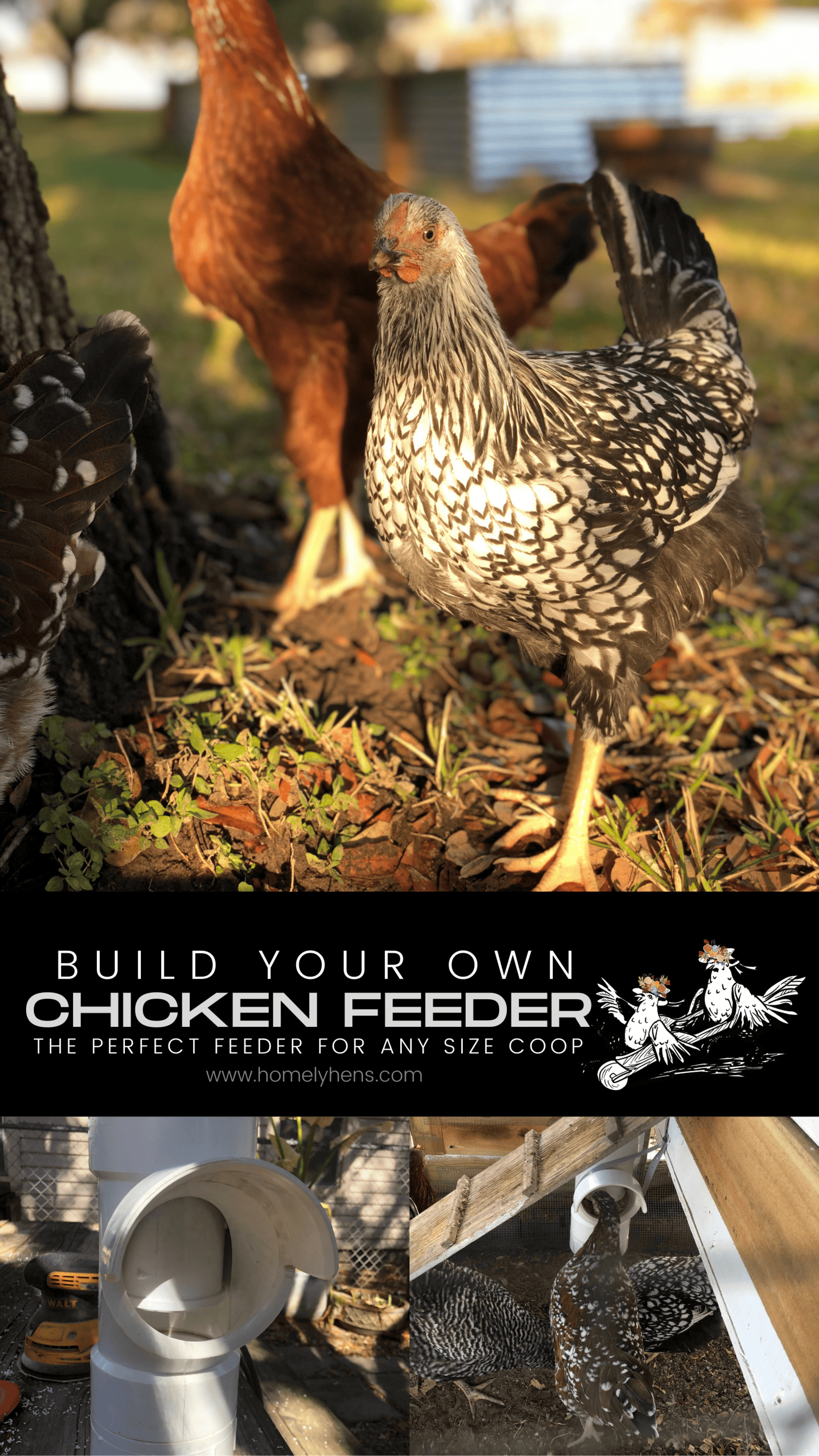 Pinterest Chicken