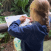 education at disney