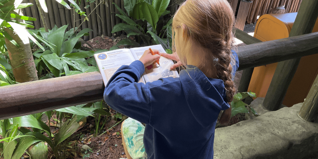 education at disney