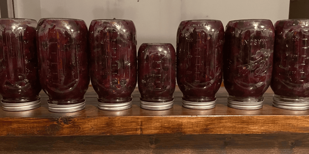 blueberry pie filling