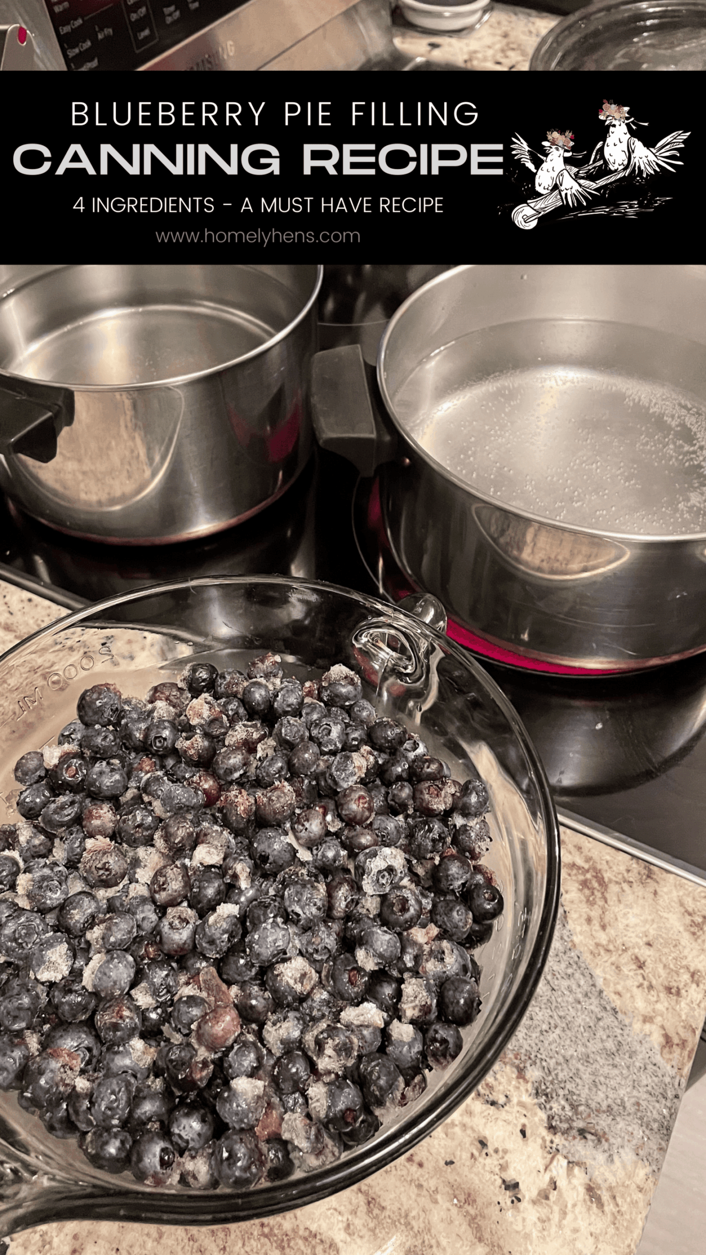 How to can Blueberry Pie Filling to Use All Year - Homely Hens