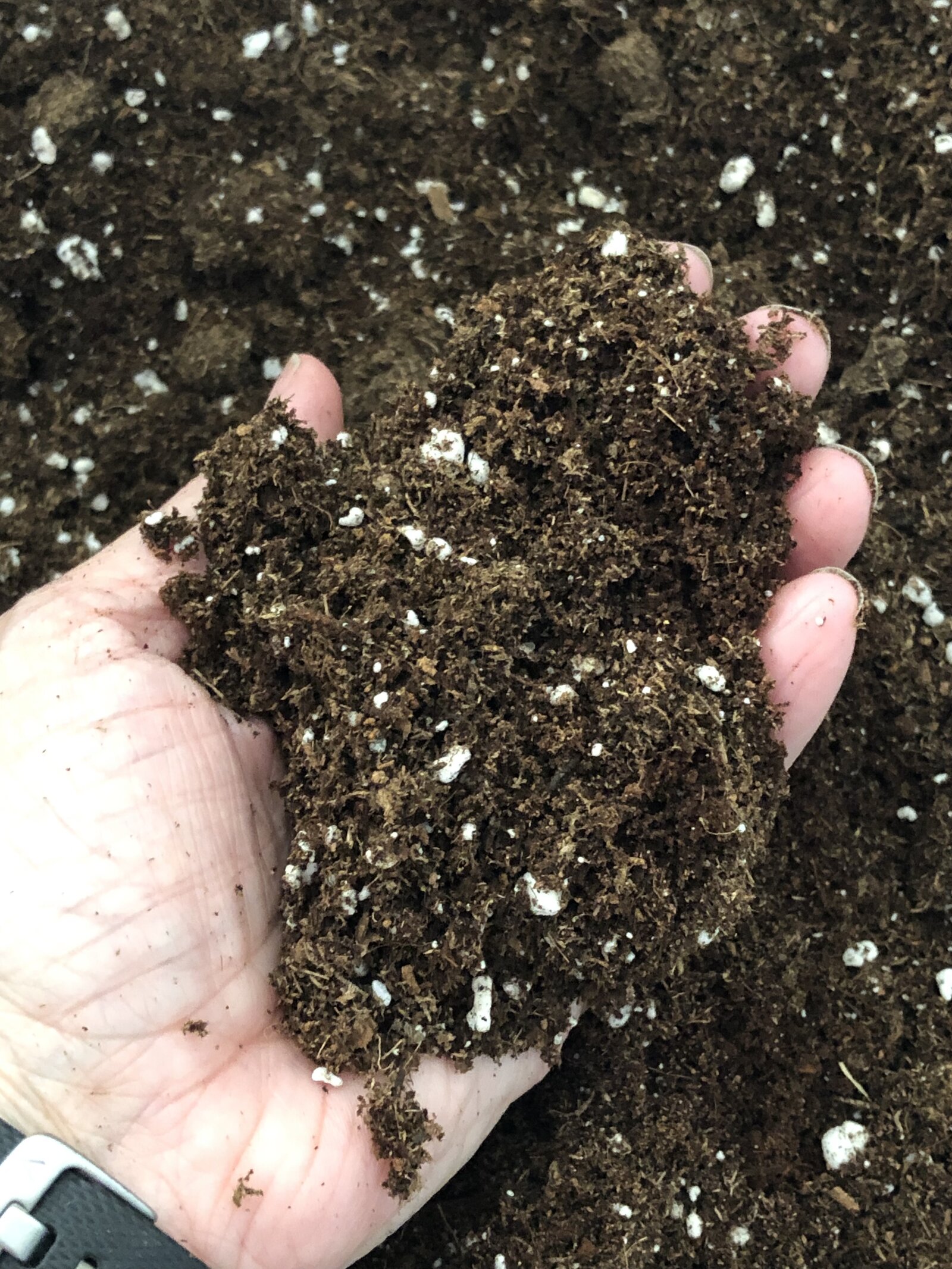 Seed Starting Mix
