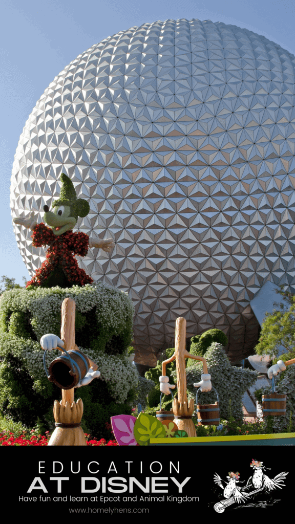 education at disney