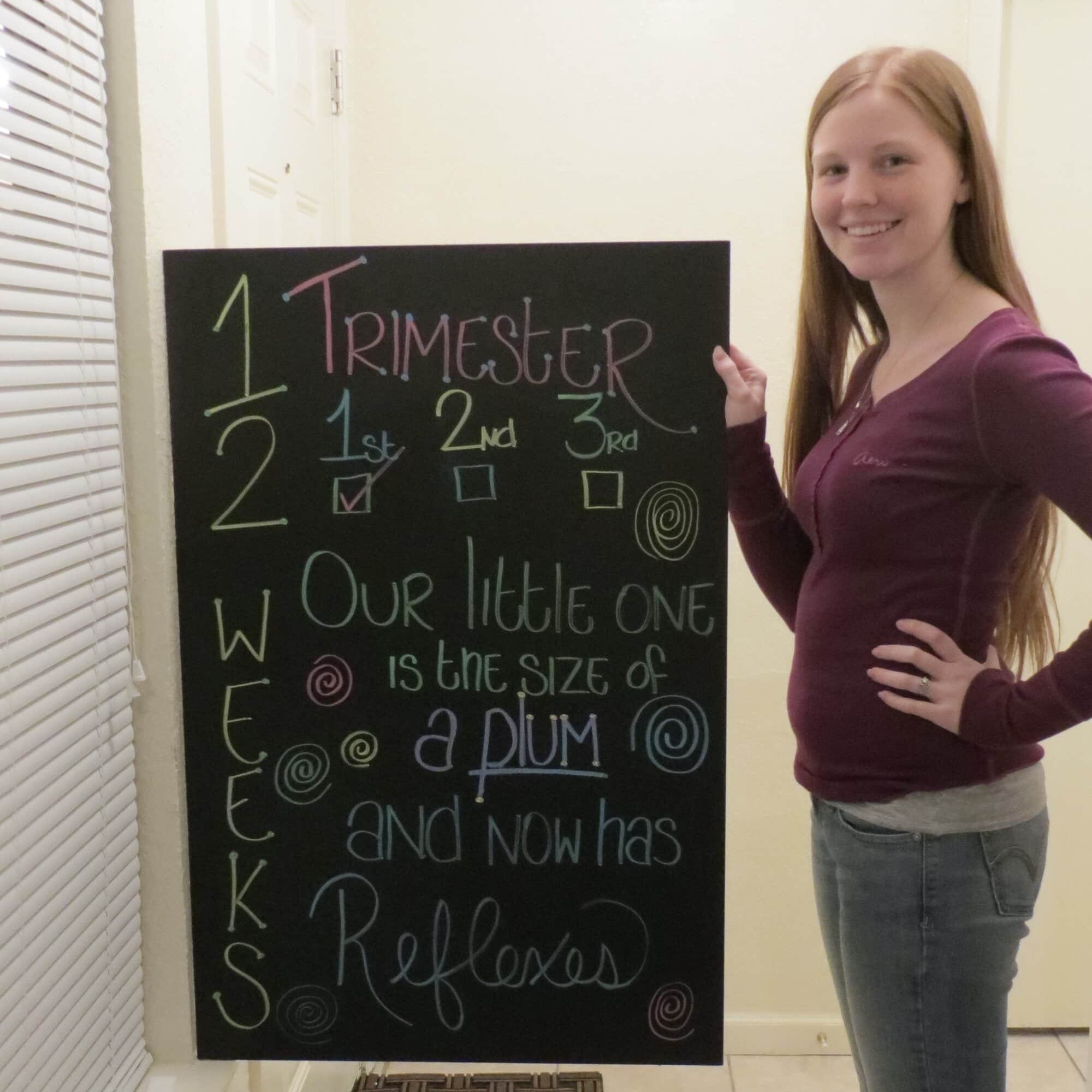 pregnancy tracker