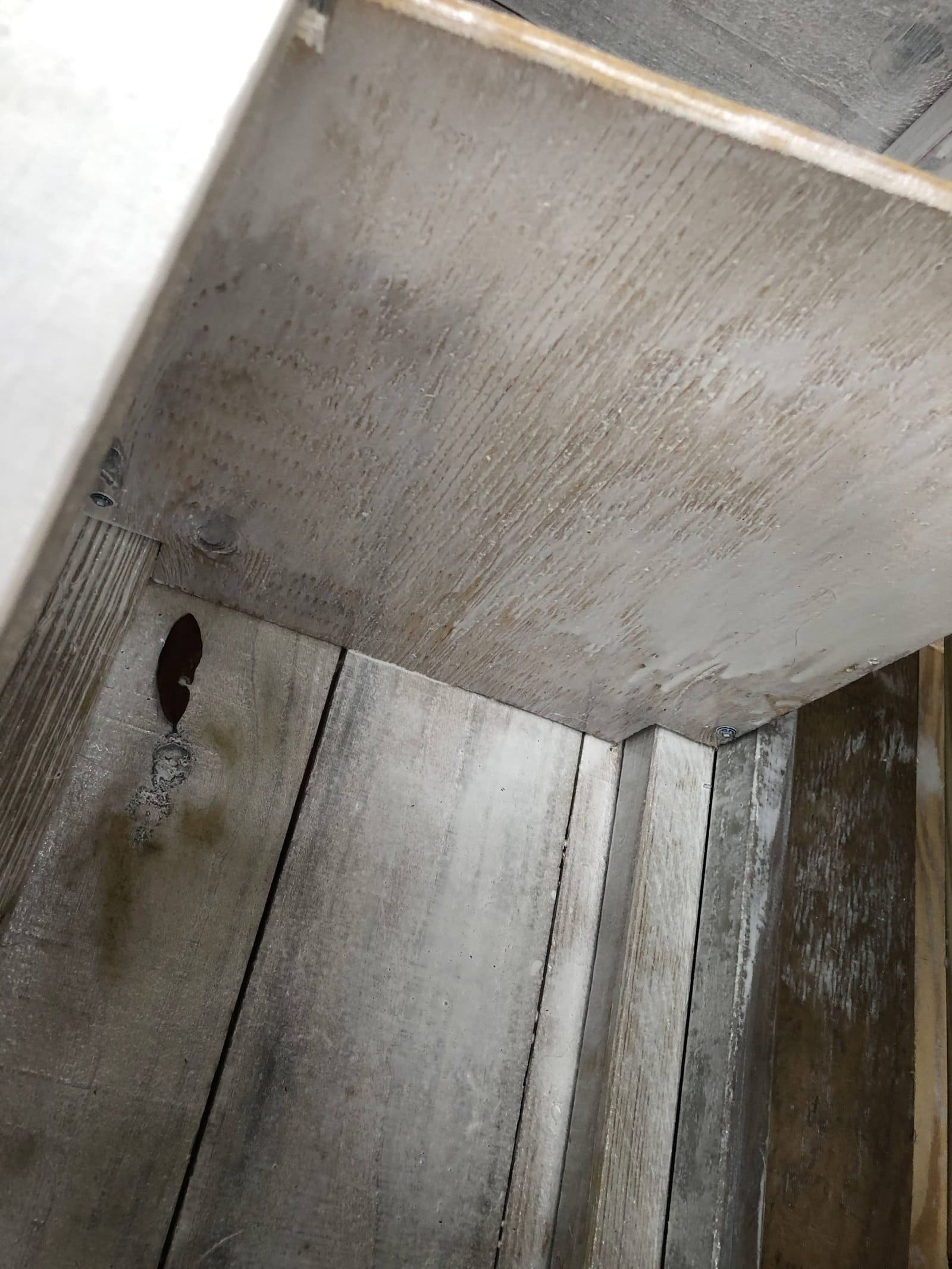 Seal your chicken coop