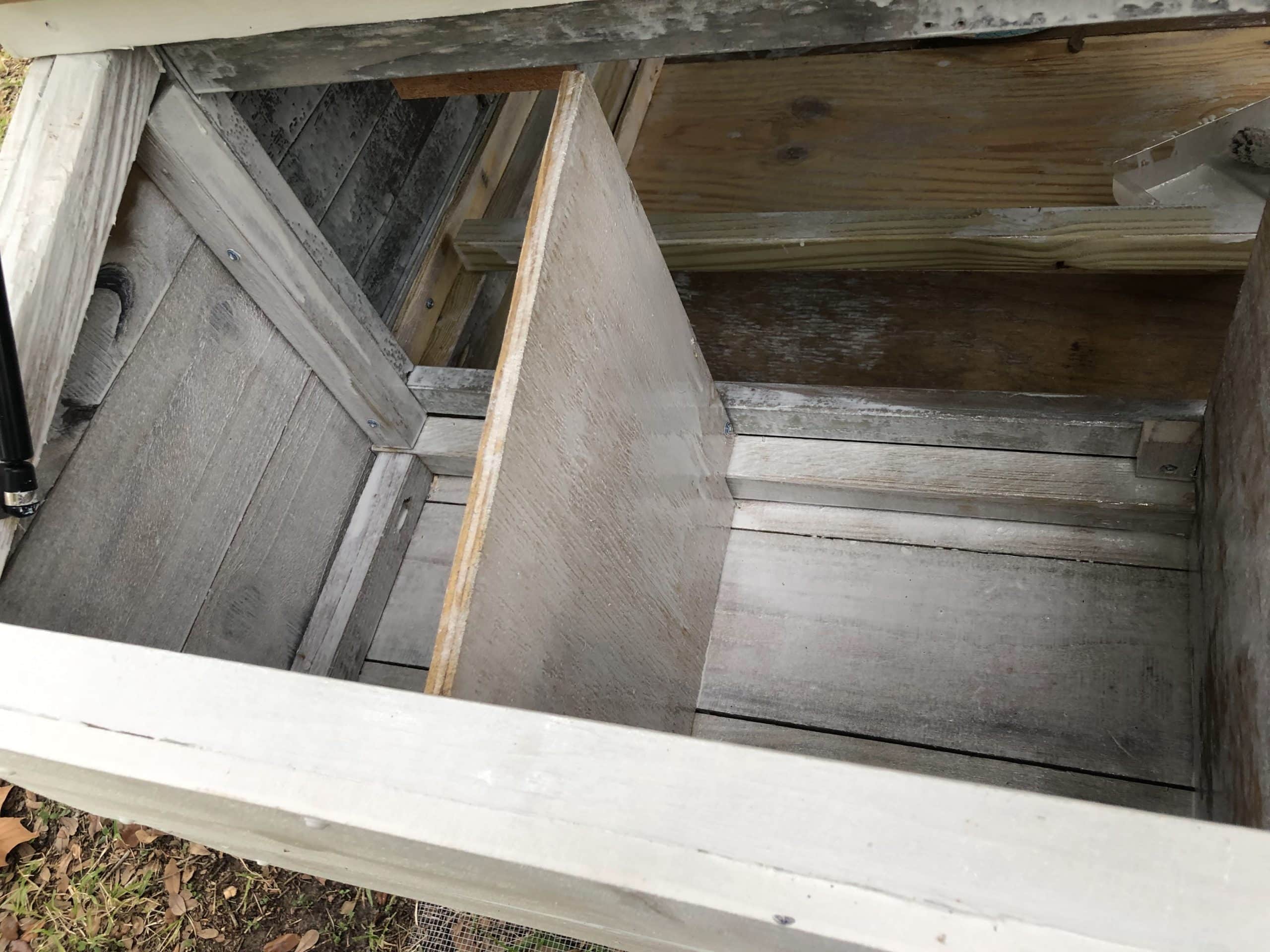 Seal your backyard chicken coop