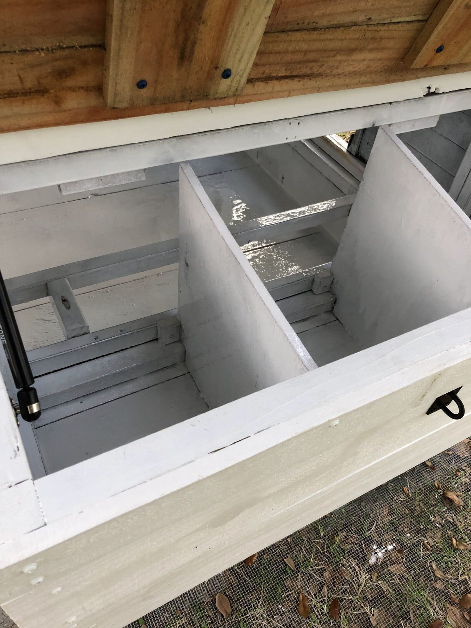 Seal your chicken coop