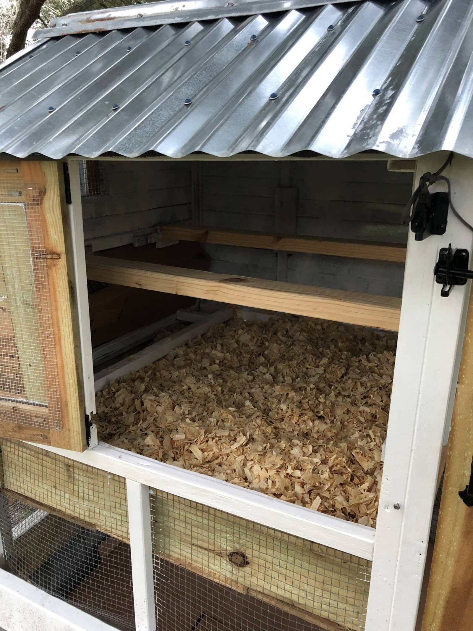 Seal your chicken coop