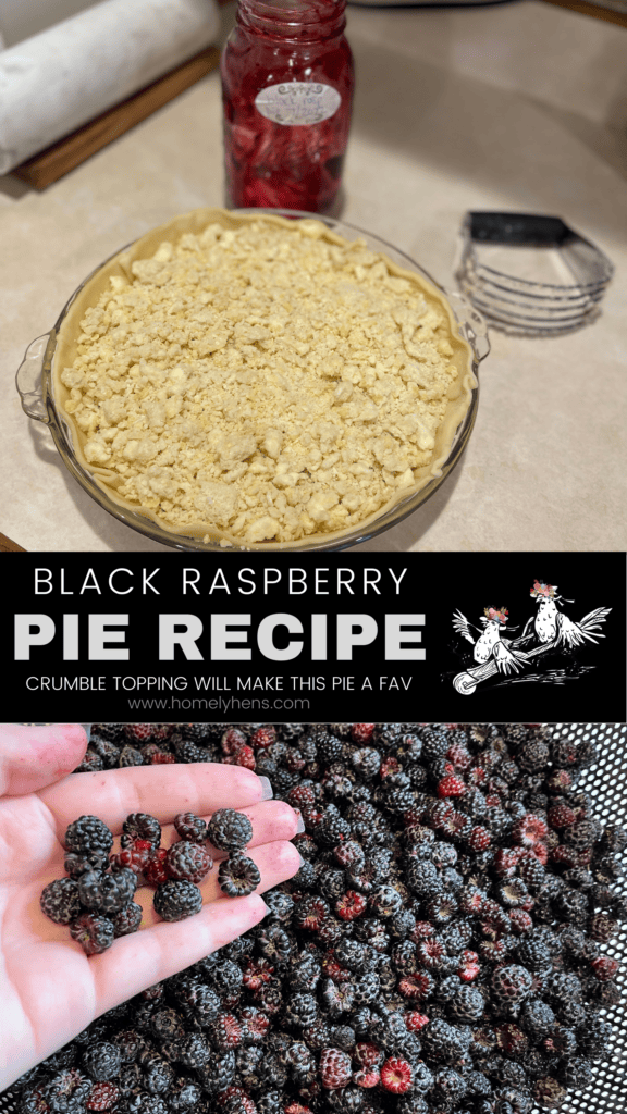 black raspberries, black raspberry pie