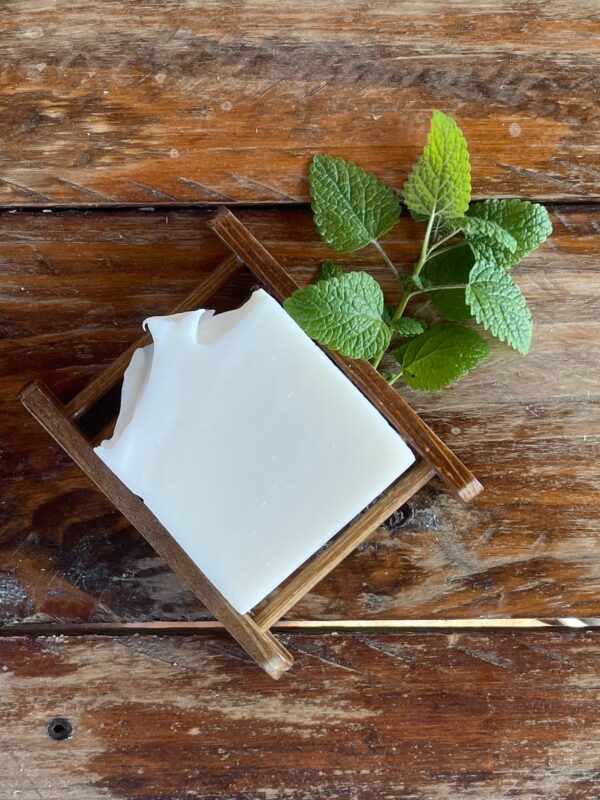 winter forest tallow soap