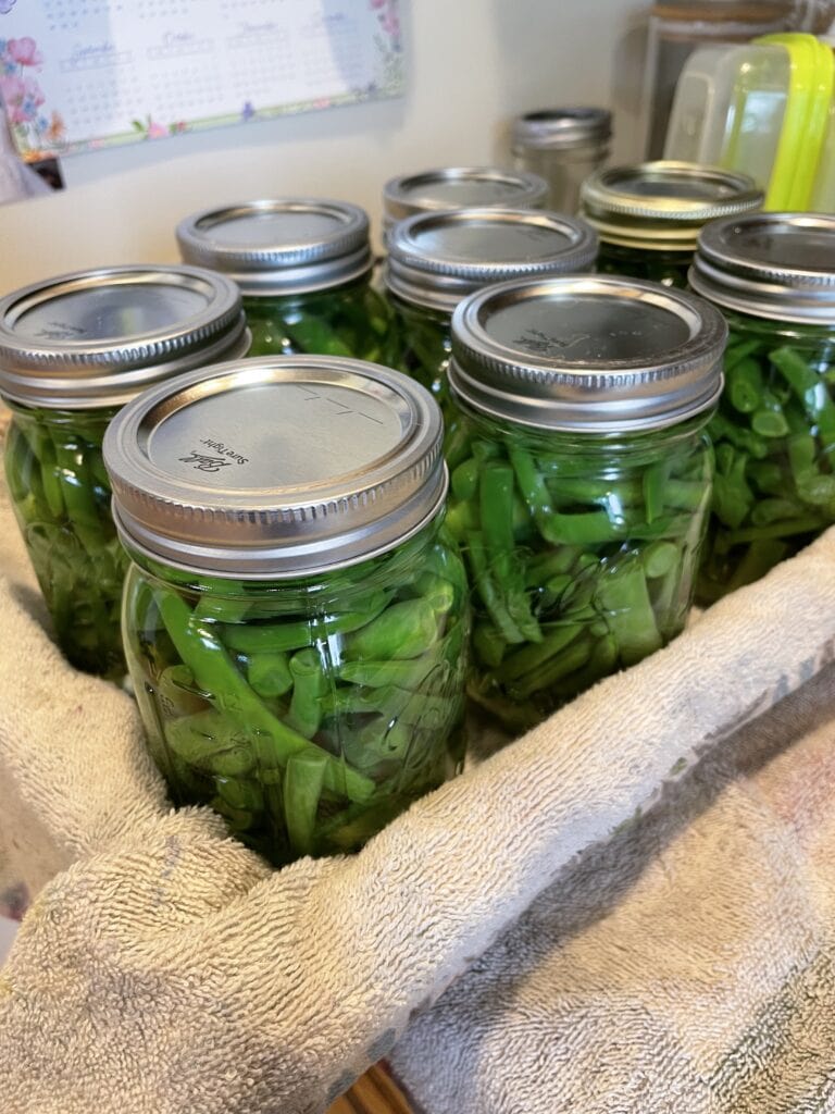 pressure canned green beans