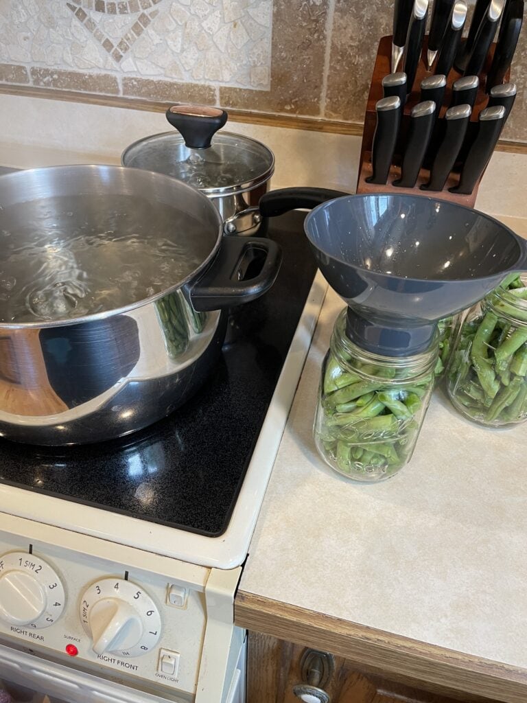 pressure canned green beans