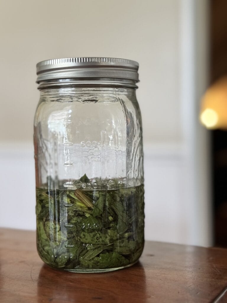 Plantain-Infused Oil