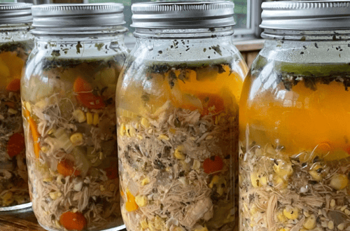 pressure canned chicken soup