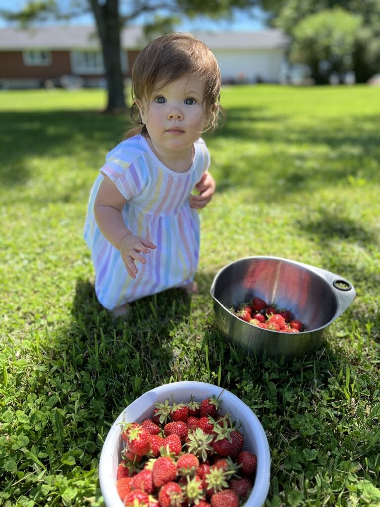 strawberries