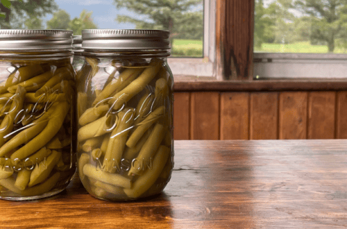 pressure canned green beans