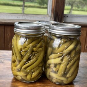 pressure canned green beans
