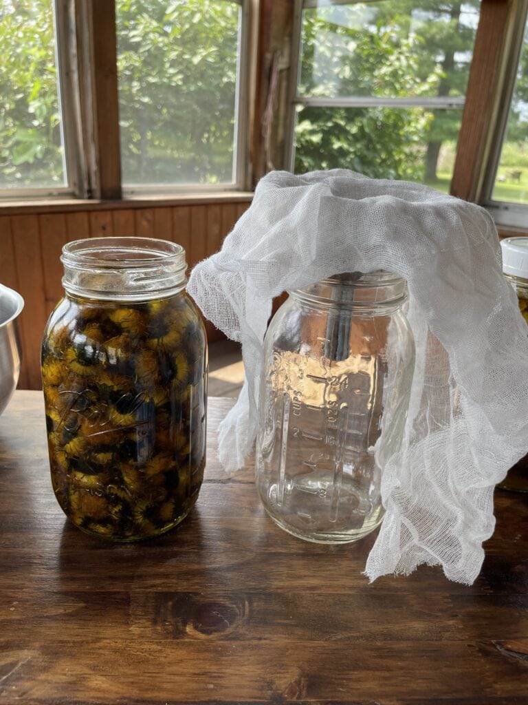 dandelion-infused oil