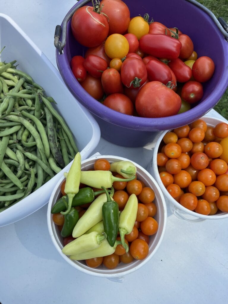 vegetables