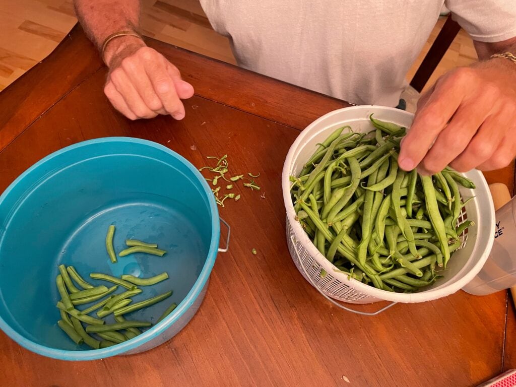 snapping green beans