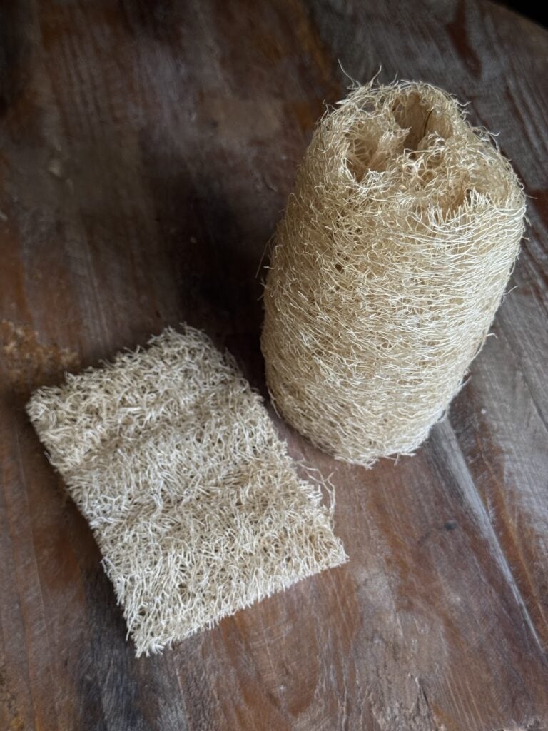 Grow Loofah Sponges