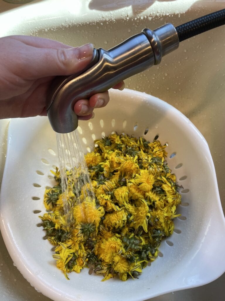 dandelions