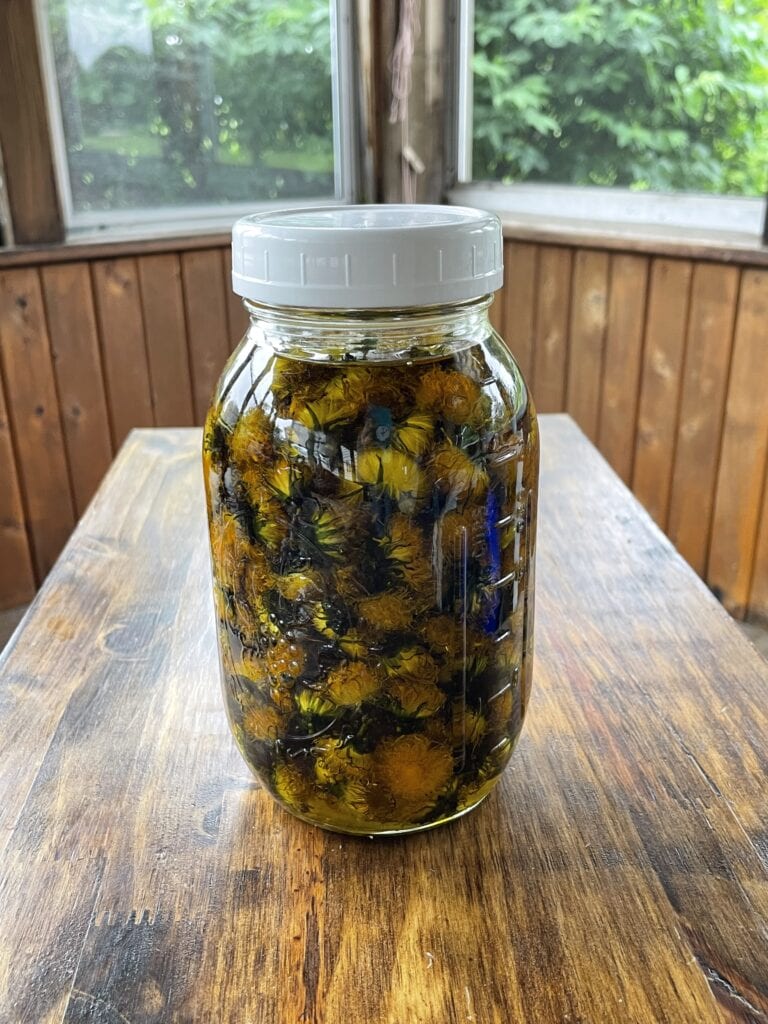 dandelion-infused oil
