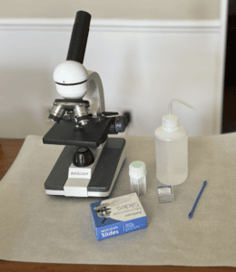 Coproscopia The Official Secret On How To Identify Parasites And Coccidia - Homely Hens