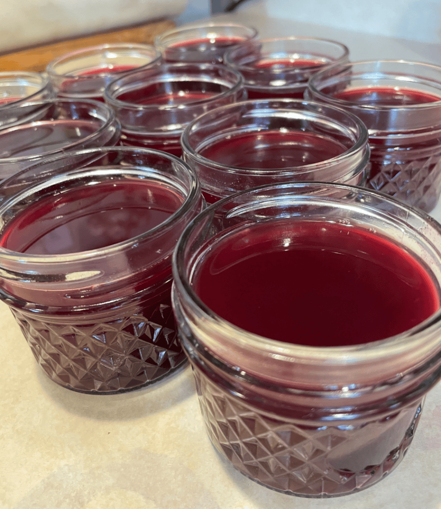 elderberry syrup, elderberry juice