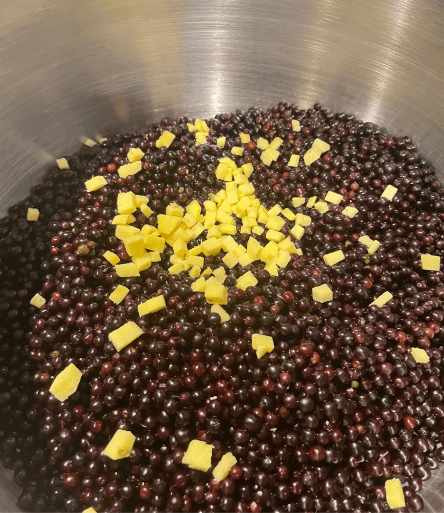 elderberries and ginger root for elderberry syrup