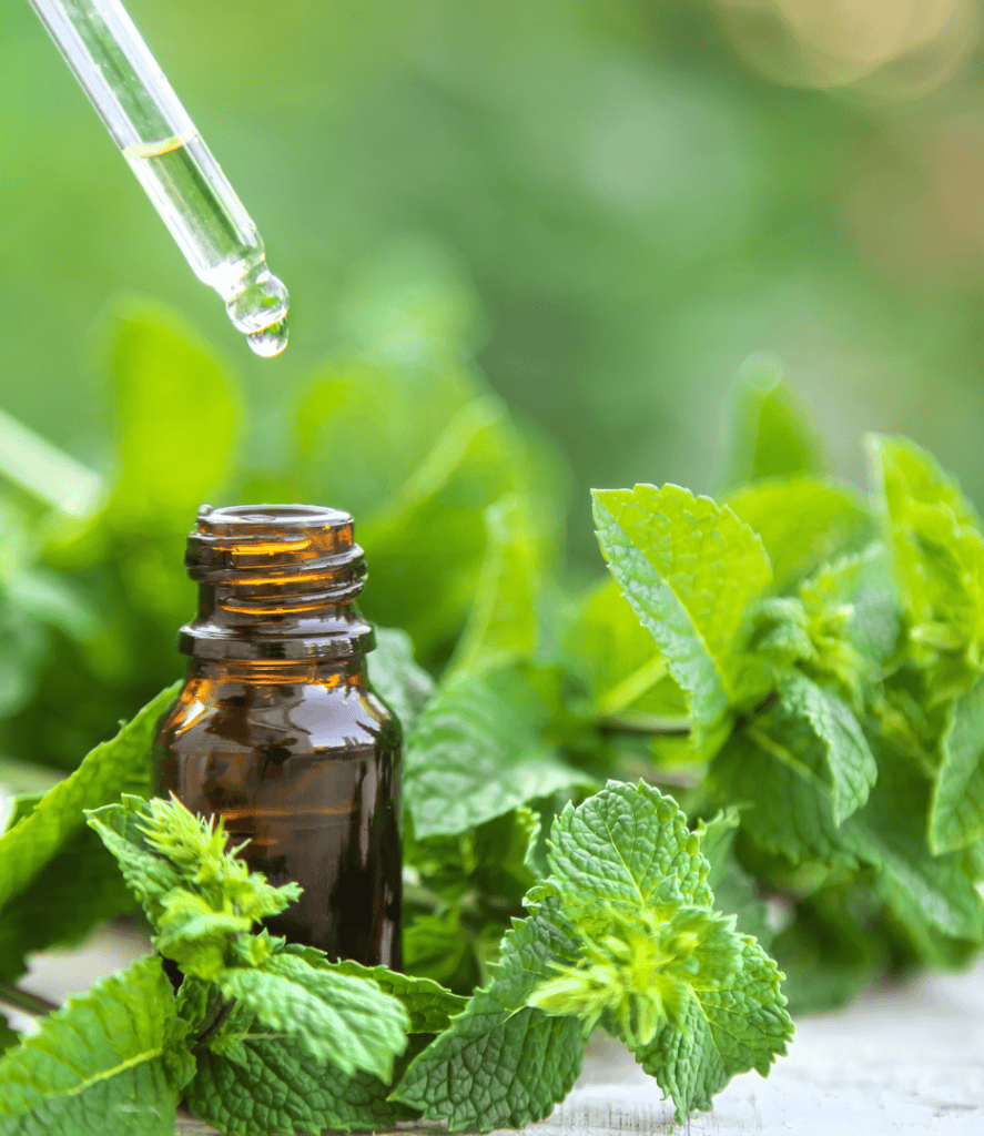 peppermint essential oil