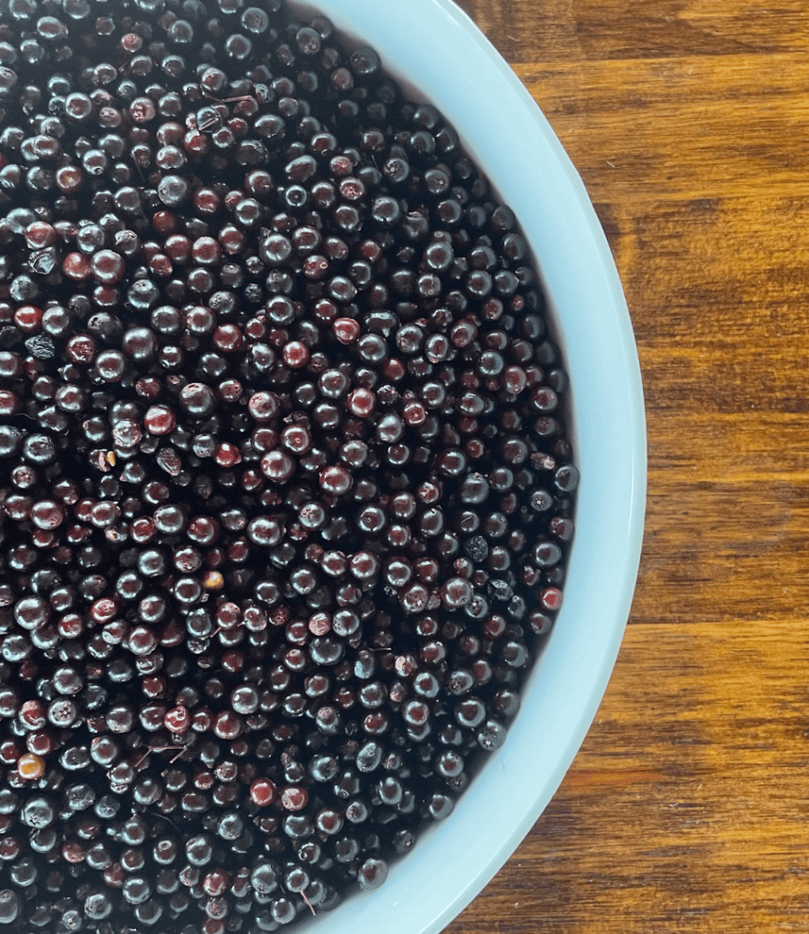 elderberries