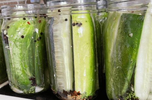 zesty dill pickles, spiced dill pickles, spicy pickles