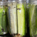 zesty dill pickles, spiced dill pickles, spicy pickles