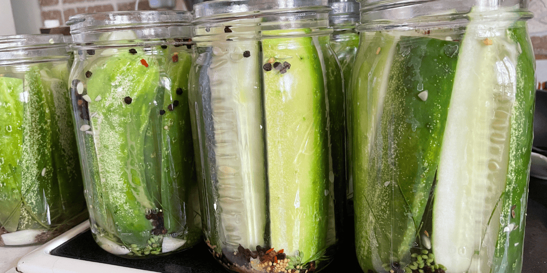 zesty dill pickles, spiced dill pickles, spicy pickles