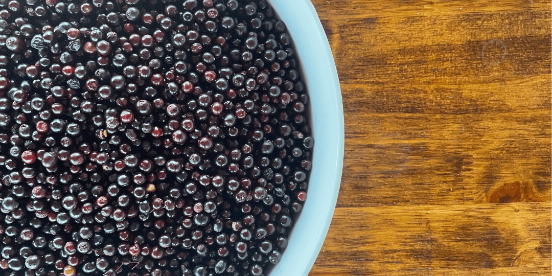 elderberry syrup