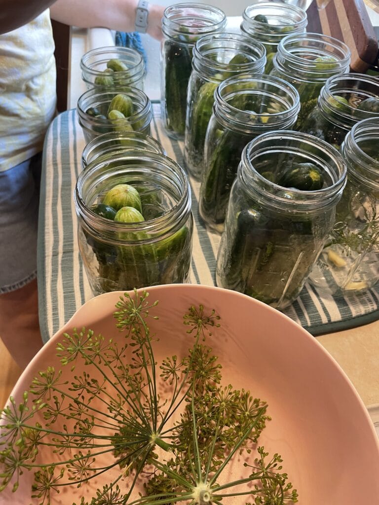 zesty dill pickles